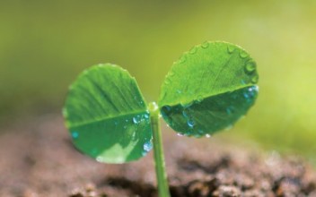 매거진 1호 '움:' 이미지